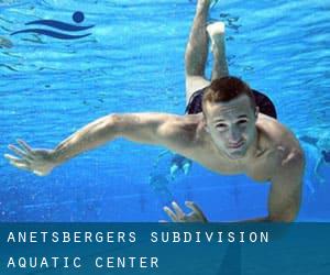 Anetsberger's Subdivision Aquatic Center