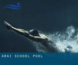 Arai School Pool