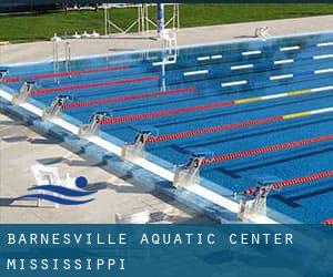 Barnesville Aquatic Center (Mississippi)