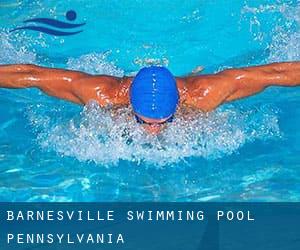 Barnesville Swimming Pool (Pennsylvania)