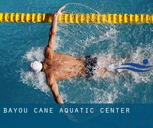 Bayou Cane Aquatic Center