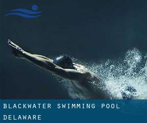 Blackwater Swimming Pool (Delaware)