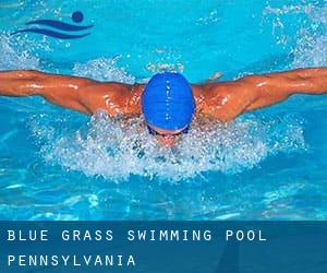 Blue Grass Swimming Pool (Pennsylvania)