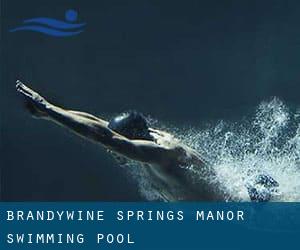 Brandywine Springs Manor Swimming Pool