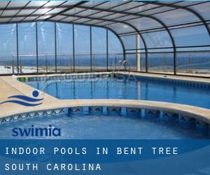 Indoor Pools in Bent Tree (South Carolina)