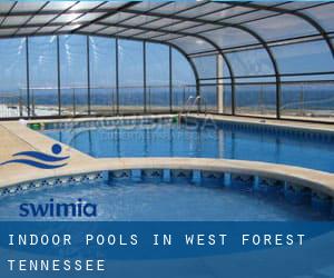 Indoor Pools in West Forest (Tennessee)