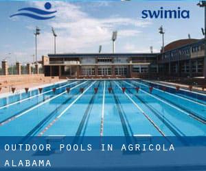 Outdoor Pools in Agricola (Alabama)