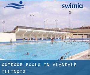 Outdoor Pools in Alandale (Illinois)