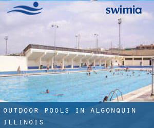 Outdoor Pools in Algonquin (Illinois)