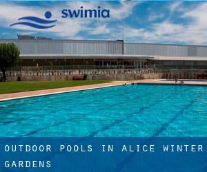 Outdoor Pools in Alice Winter Gardens