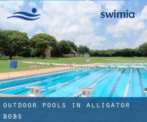 Outdoor Pools in Alligator Bobs