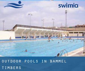 Outdoor Pools in Bammel Timbers