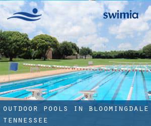 Outdoor Pools in Bloomingdale (Tennessee)