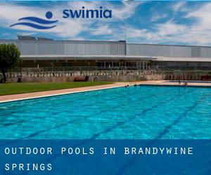 Outdoor Pools in Brandywine Springs