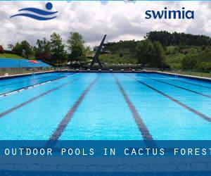 Outdoor Pools in Cactus Forest