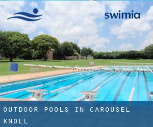 Outdoor Pools in Carousel Knoll