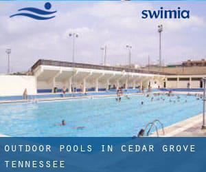 Outdoor Pools in Cedar Grove (Tennessee)