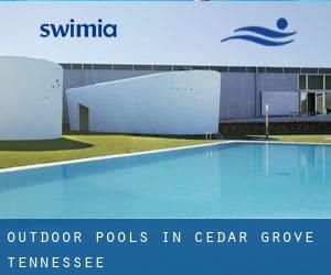 Outdoor Pools in Cedar Grove (Tennessee)