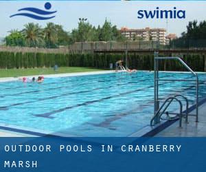 Outdoor Pools in Cranberry Marsh