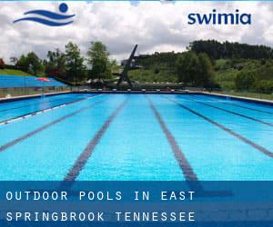 Outdoor Pools in East Springbrook (Tennessee)