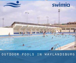 Outdoor Pools in Waylandsburg