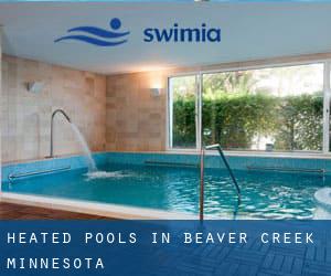 Heated Pools in Beaver Creek (Minnesota)