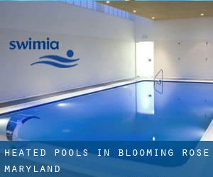 Heated Pools in Blooming Rose (Maryland)