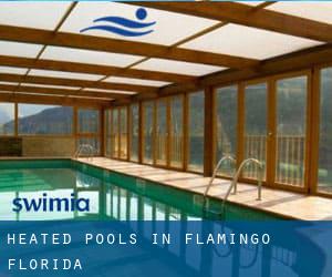 Heated Pools in Flamingo (Florida)