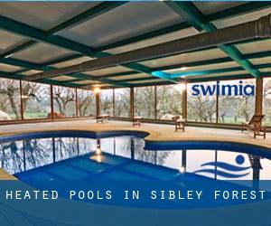 Heated Pools in Sibley Forest