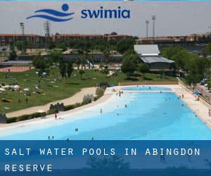 Salt Water Pools in Abingdon Reserve