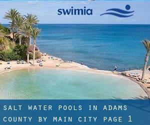 Salt Water Pools in Adams County by Main City - page 1