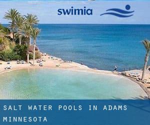 Salt Water Pools in Adams (Minnesota)