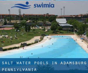 Salt Water Pools in Adamsburg (Pennsylvania)