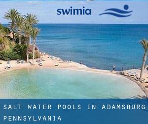 Salt Water Pools in Adamsburg (Pennsylvania)