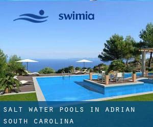 Salt Water Pools in Adrian (South Carolina)