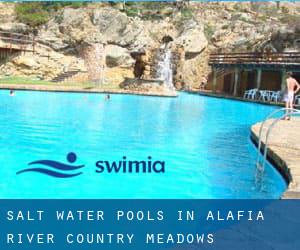 Salt Water Pools in Alafia River Country Meadows