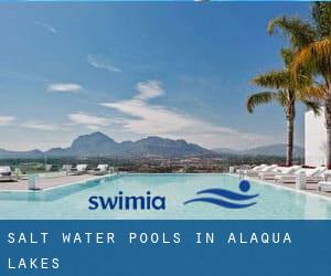 Salt Water Pools in Alaqua Lakes