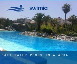 Salt Water Pools in Alarka