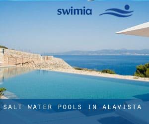 Salt Water Pools in Alavista