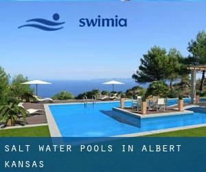 Salt Water Pools in Albert (Kansas)