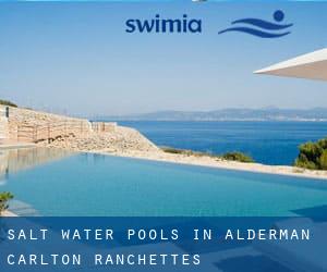 Salt Water Pools in Alderman-Carlton Ranchettes