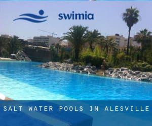 Salt Water Pools in Alesville