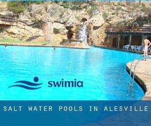 Salt Water Pools in Alesville