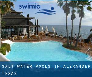 Salt Water Pools in Alexander (Texas)