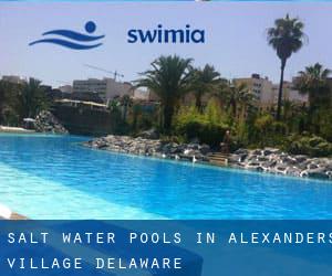 Salt Water Pools in Alexanders Village (Delaware)