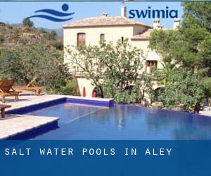 Salt Water Pools in Aley