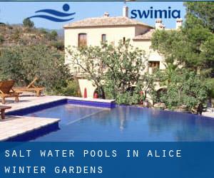 Salt Water Pools in Alice Winter Gardens