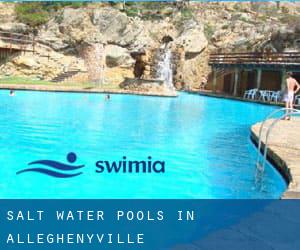 Salt Water Pools in Alleghenyville