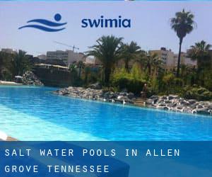 Salt Water Pools in Allen Grove (Tennessee)