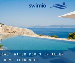 Salt Water Pools in Allen Grove (Tennessee)